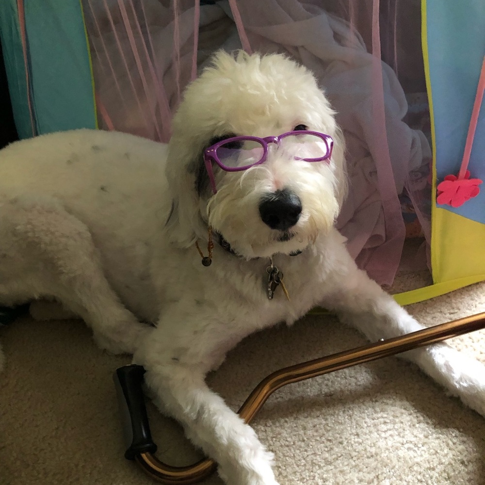 Meet your Posher, Elizabeth